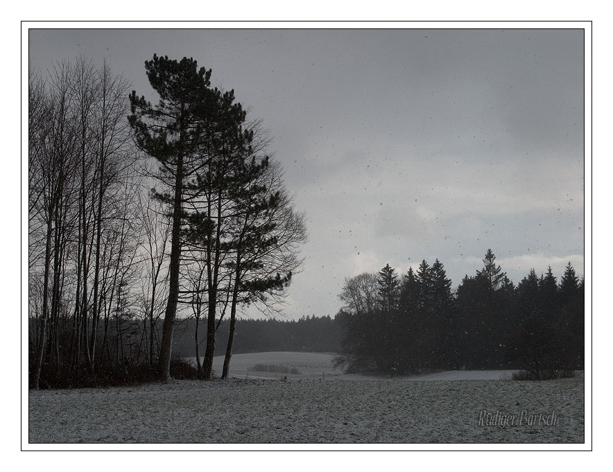 Foto - Bild- Es schneit