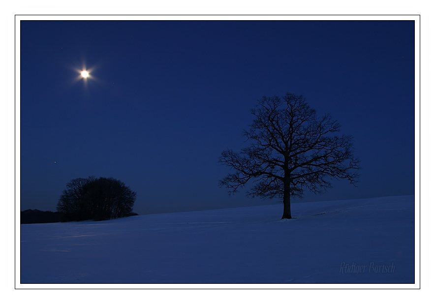 Foto - Bild- Eiche, Mond und Sterne