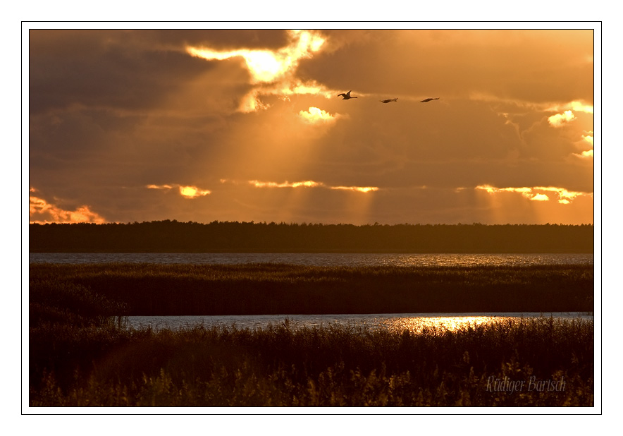 Foto - Bild- Am Bodstedter Bodden