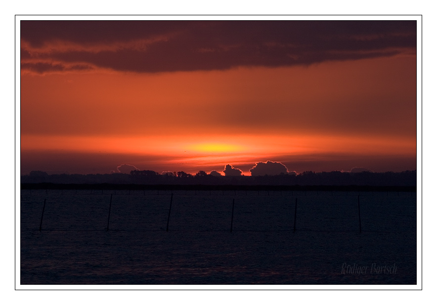 Foto - Bild- Sonnenspiegelung