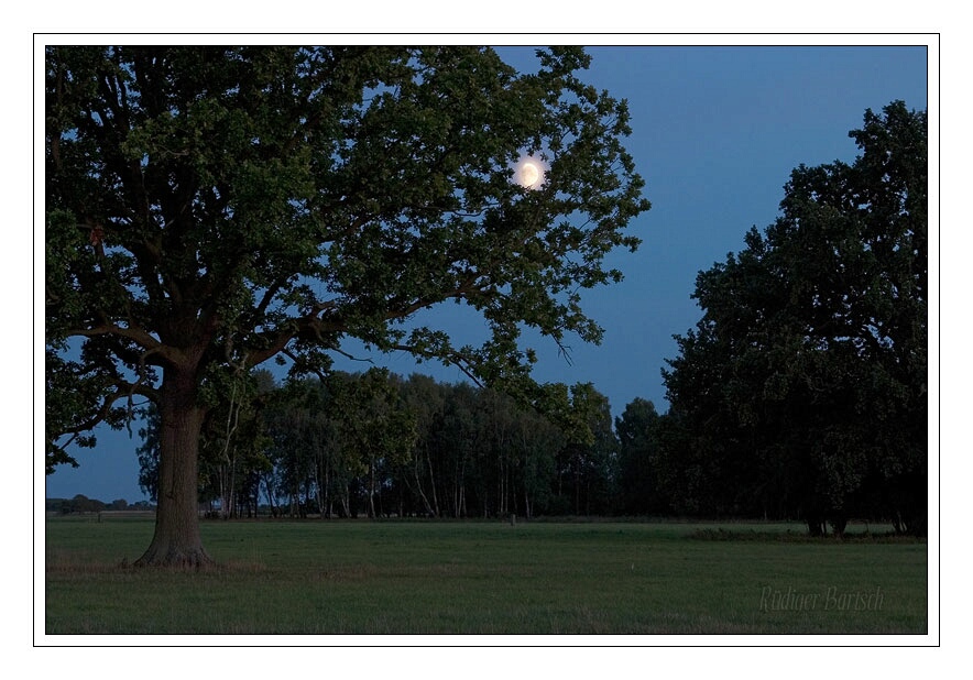 Foto - Bild- Durchblick