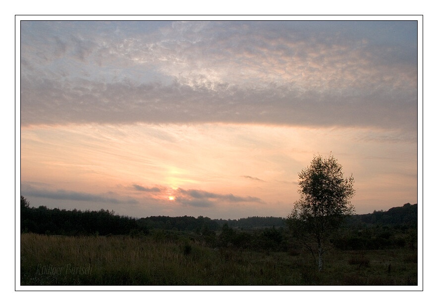 Foto - Bild- Abendstimmung, Kleiner Jasmunder Bodden, R�gen